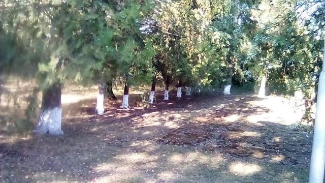 IMG 20190813 WA0005