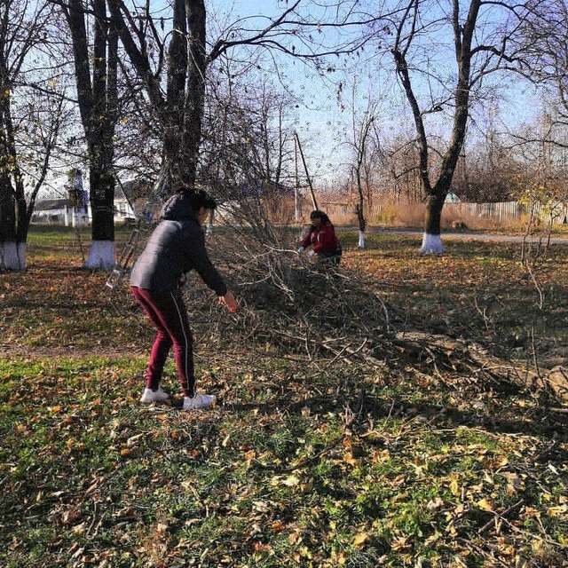 IMG 20191116 133326 344